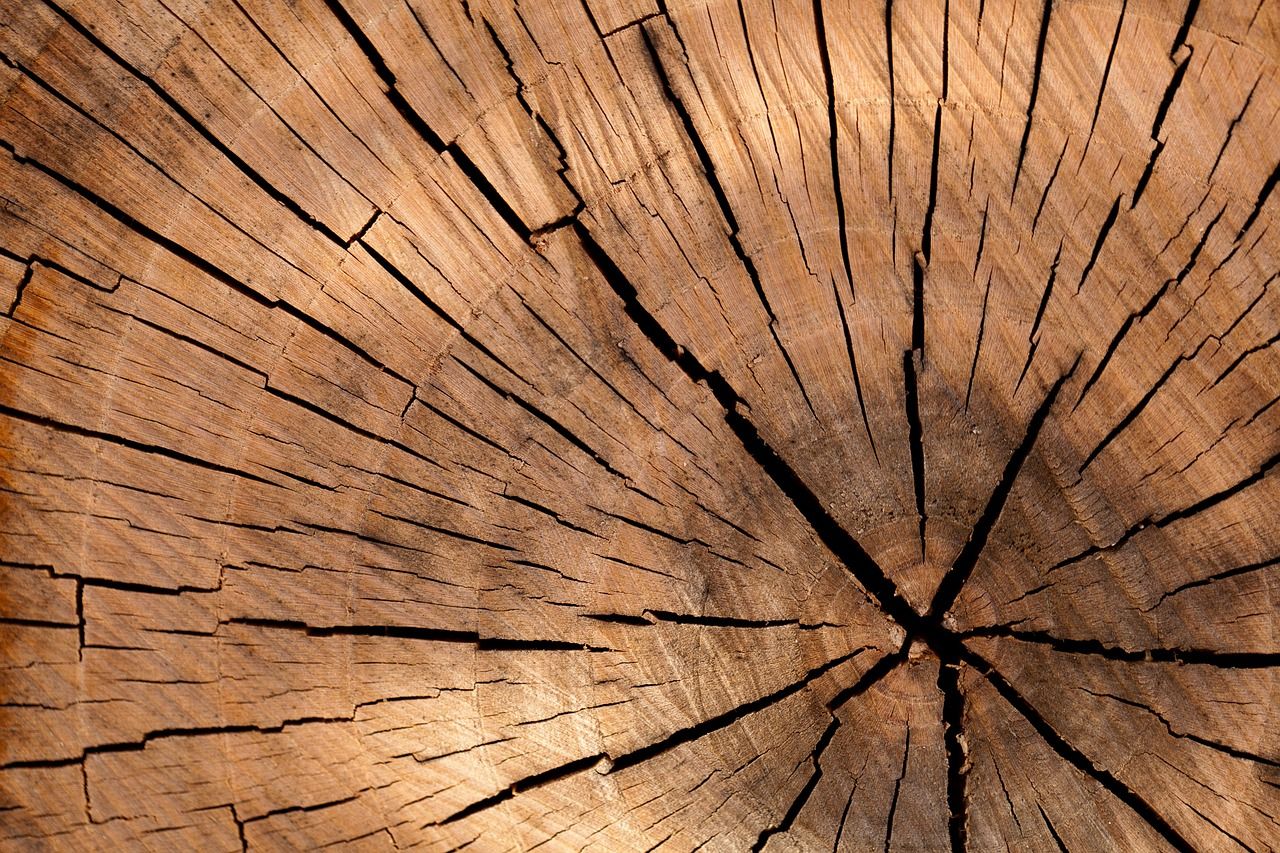 Ochrona drewna przed środowiskiem – jak zabezpieczyć meble na tarasie