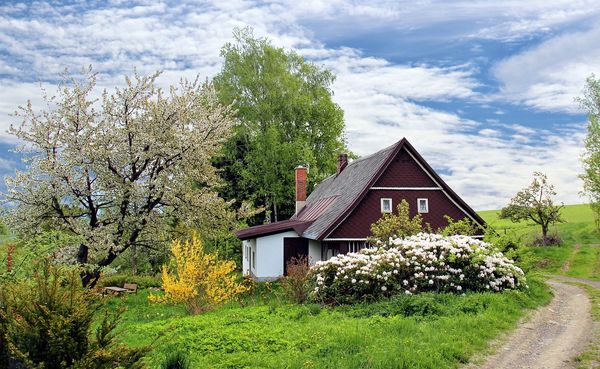 Tajniki rynku używanych lodówek - poradnik dla początkujących